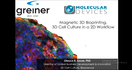 Magnetic 3D