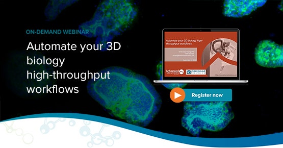 3D Biology high-throughput workflows