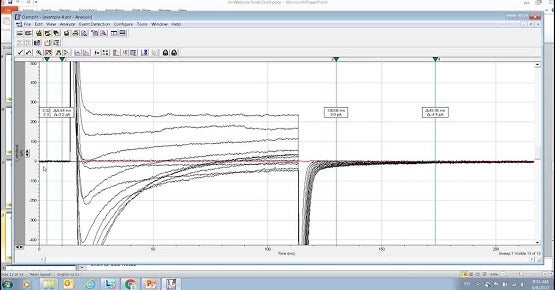 Calculate Decay Time Constant, and Perform Curve Fitting Using Axon pCLAMP Software